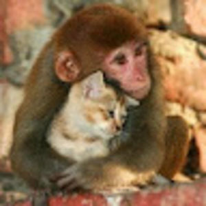 Meet your Posher, Carol